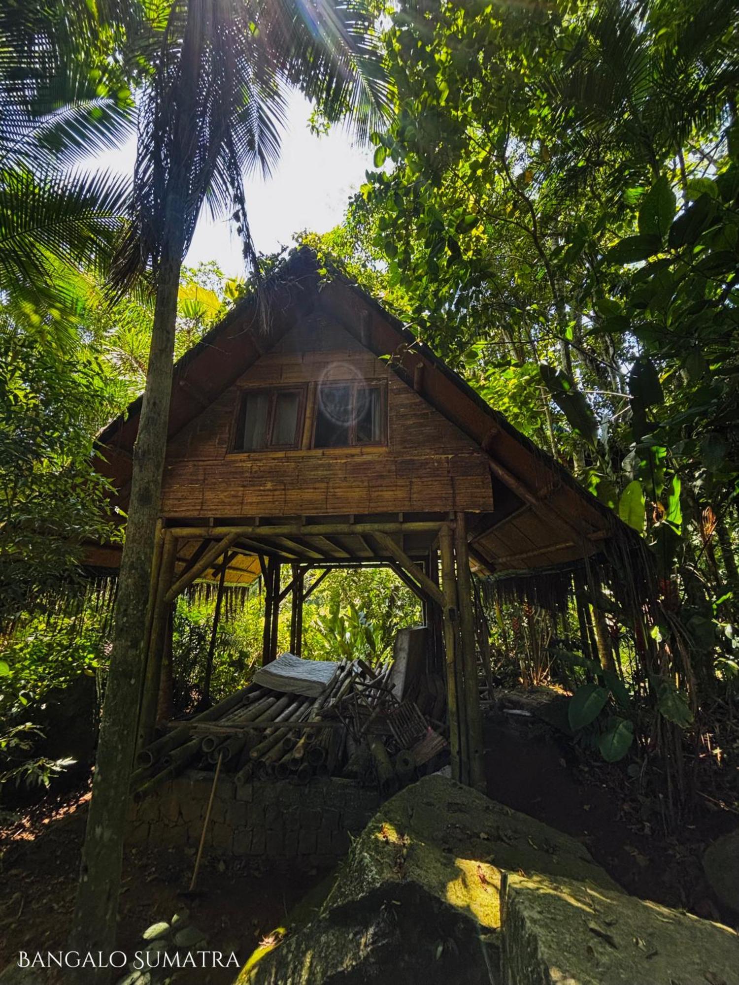Sitio Simple Life Panzió Ubatuba Kültér fotó