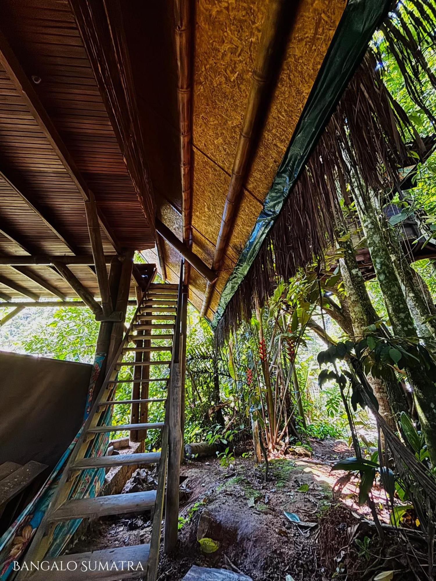 Sitio Simple Life Panzió Ubatuba Kültér fotó